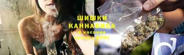 мдпв Мегион