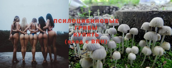 мдпв Мегион