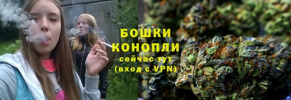 мдпв Михайлов