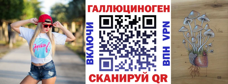 Купить закладки  Сухиничи  Псилоцибиновые грибы GOLDEN TEACHER 